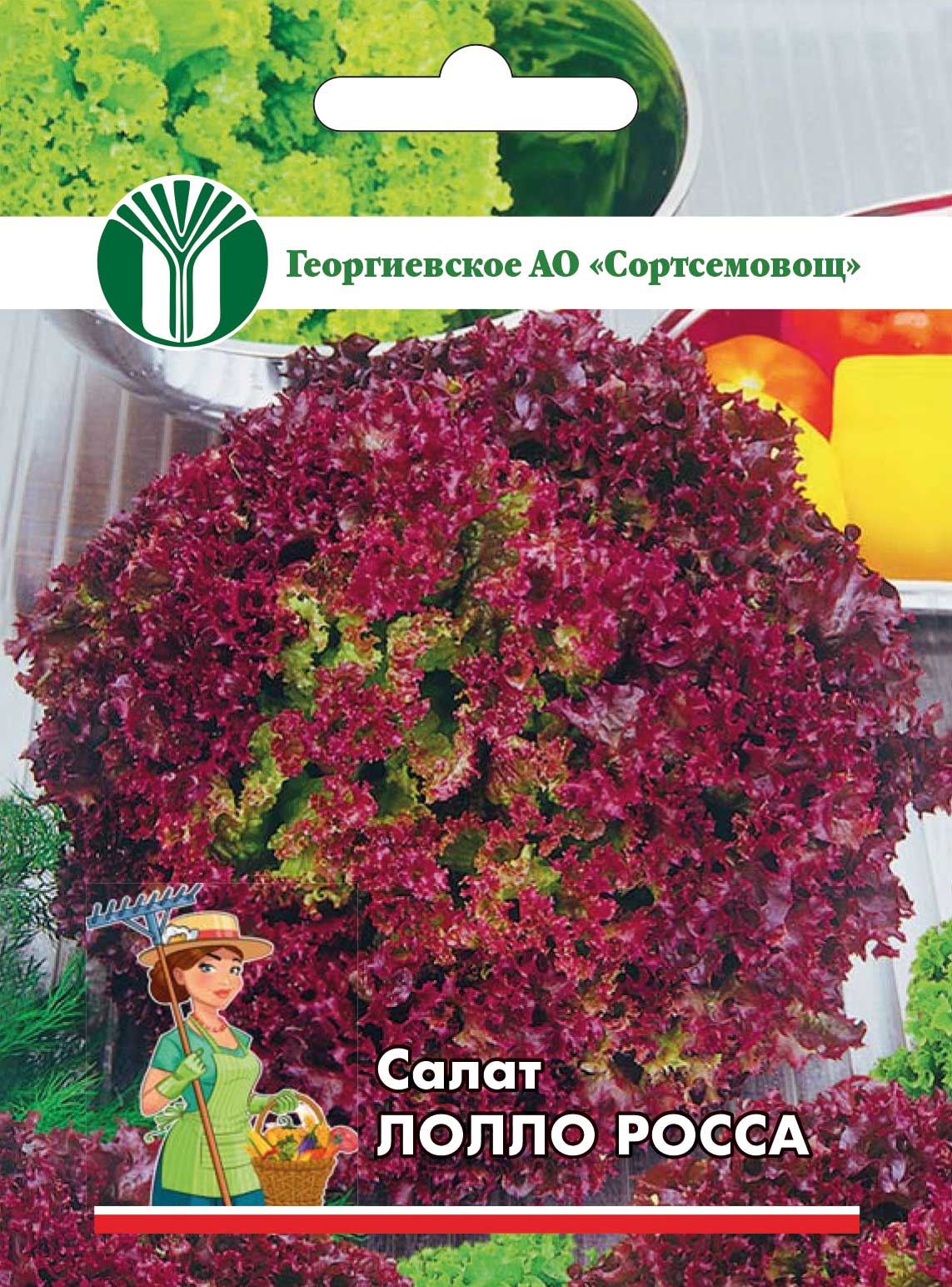 05b49505151d11eca43b00155d467c08_c918de5b1f9a11eda43a60a4b7b2b853