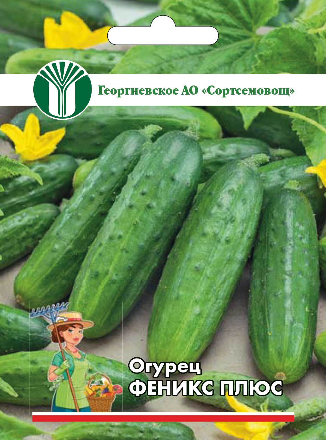 c58ae029e2da11eba43a00155d467b0b_c918de621f9a11eda43a60a4b7b2b853
