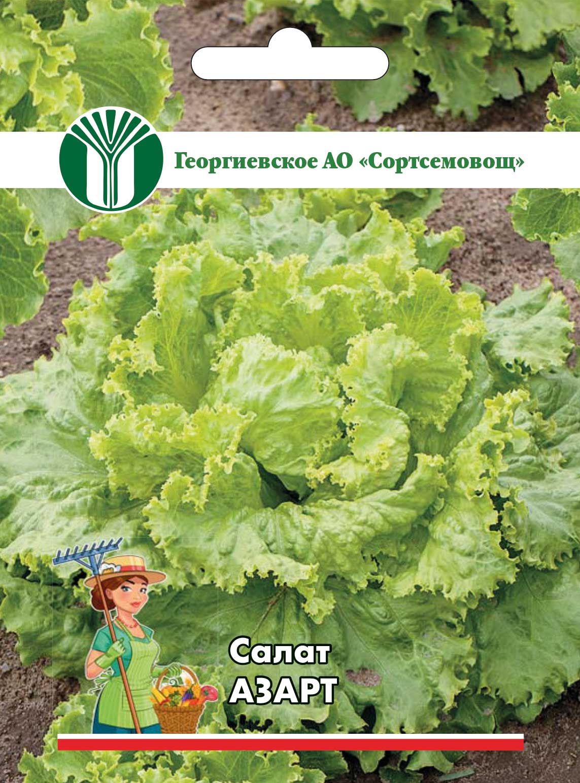 c58ae031e2da11eba43a00155d467b0b_c918de5c1f9a11eda43a60a4b7b2b853