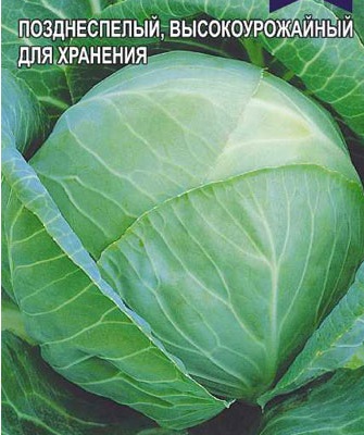 02e85d6c645311efa46960a4b7b2b853_52972895412f11f0a48460a4b7b2b853